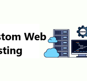 VPS Web Hosting Plan