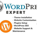 Manor Lakes Melbourne Fix WordPress Website Issues